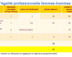 Index Egalité professionnelle V2V Flexiloc 2023